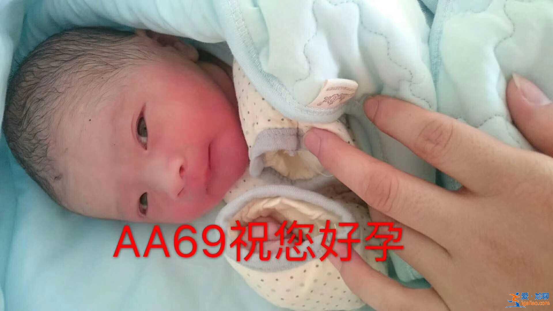包生男孩 無效退款，女人吃海馬有助孕嗎？