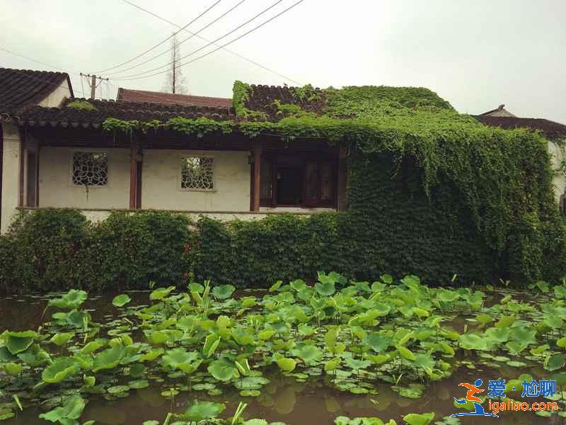 蘇州四大名園哪個(gè)好玩，蘇州四大名園哪個(gè)好？