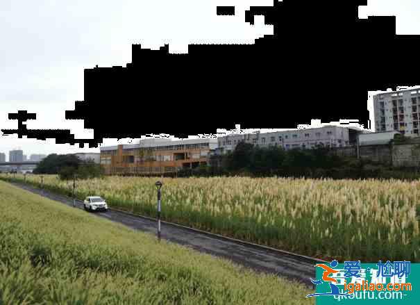 重慶草海灣公園在哪里？