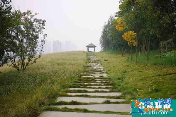 重慶草海灣公園在哪里？