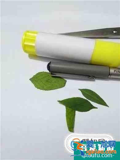 如何制作幼兒園樹(shù)葉手工作品？