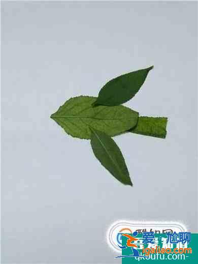 如何制作幼兒園樹(shù)葉手工作品？