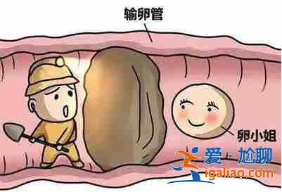 南京代生孩子價格_從此世界也增添一份色彩? 南京代生孩子價格_從此世界也增添一份色彩?