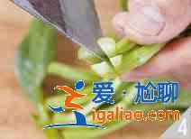 菜心炒豬肝怎么做？？