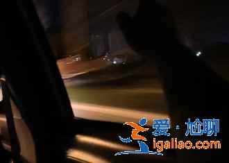 【仙居旅游買什么好】仙居特產清單，仙居有什么特產？