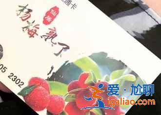 【仙居旅游買什么好】仙居特產清單，仙居有什么特產？