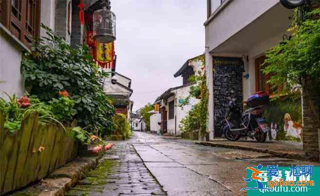 朱家角古鎮旅游區攻略？