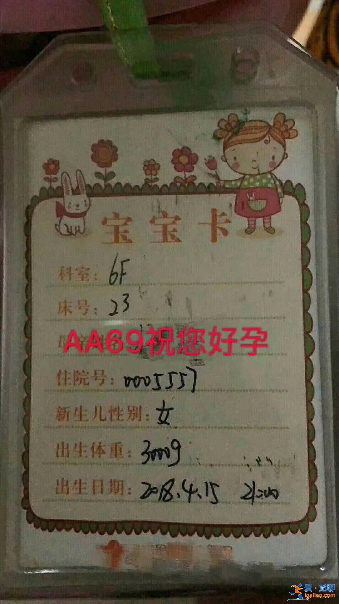 包生男孩包生男孩？