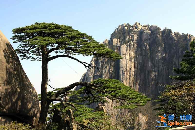 黃山機場在哪，黃山機場到景區交通指南，黃山機場位置？