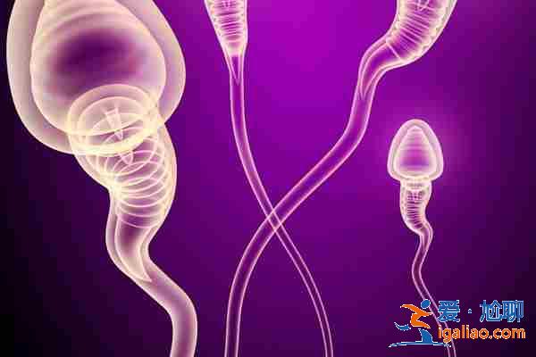 新疆代生孩子_讓您的家庭少留一些遺憾? 新疆代生孩子_讓您的家庭少留一些遺憾?