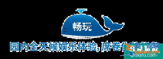 上海海昌海洋公園攻略一日游？