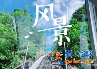 黃山“三奇五絕”指的是什么,你知道嗎?? 黃山“三奇五絕”指的是什么,你知道嗎??