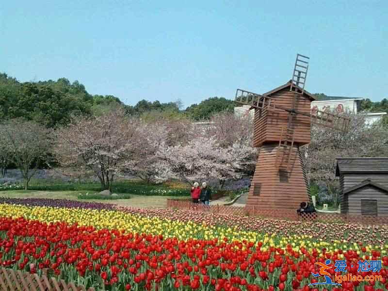 蘇州小眾文藝景點(diǎn)有哪些，蘇州那些出片率超高的景點(diǎn)？