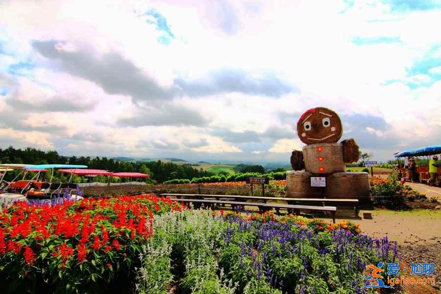 北海道夏天好玩嗎，北海道夏天美嗎？