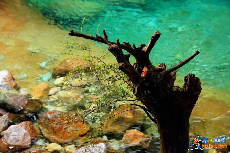 端午去黃山哪里好玩,端午黃山好玩嗎,端午節黃山旅游攻略? 端午去黃山哪里好玩,端午黃山好玩嗎,端午節黃山旅游攻略?