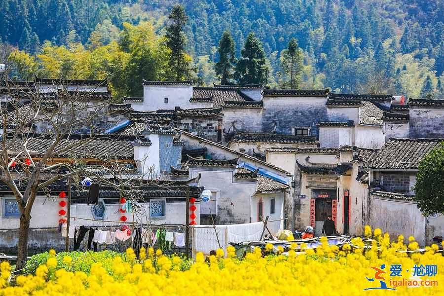 端午去黃山哪里好玩,端午黃山好玩嗎,端午節黃山旅游攻略? 端午去黃山哪里好玩,端午黃山好玩嗎,端午節黃山旅游攻略?