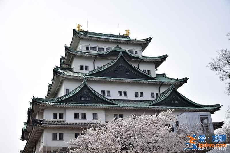名古屋有哪些熱門景點，名古屋必游景點推薦，名古屋旅游攻略？