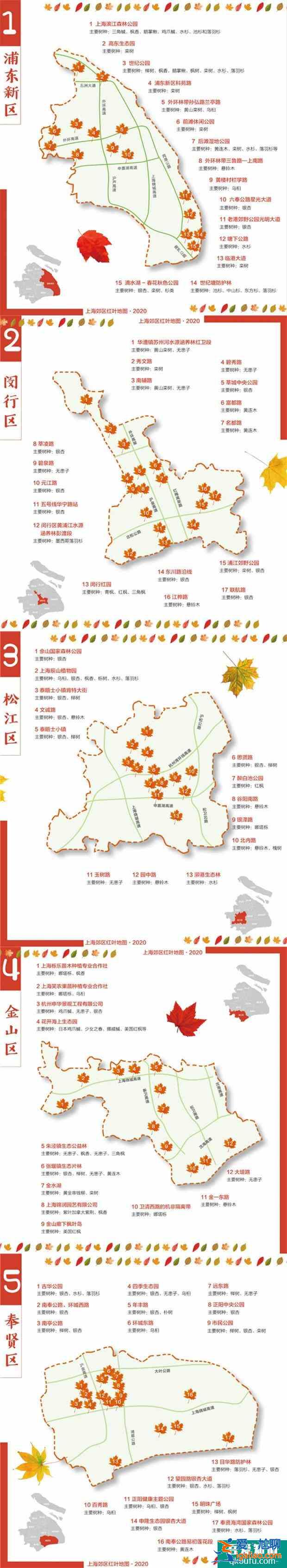 上海郊區紅葉地圖 上海紅葉最佳觀賞時間？