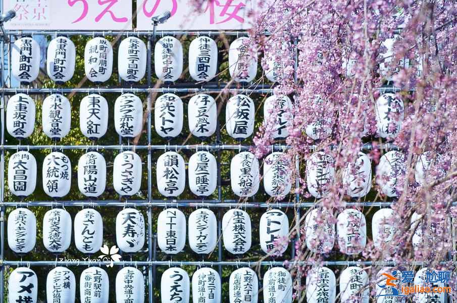 東京上野公園怎么玩，東京上野公園景點，東京上野公園攻略？