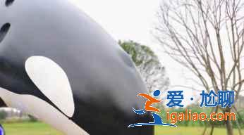 紅米k30s拍出照片太白是怎么回事？