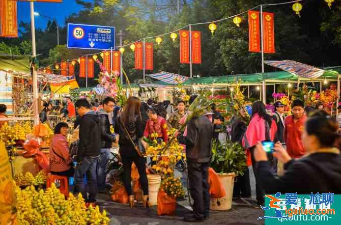 深圳迎春花市2021地址時(shí)間及攤位招標(biāo)？