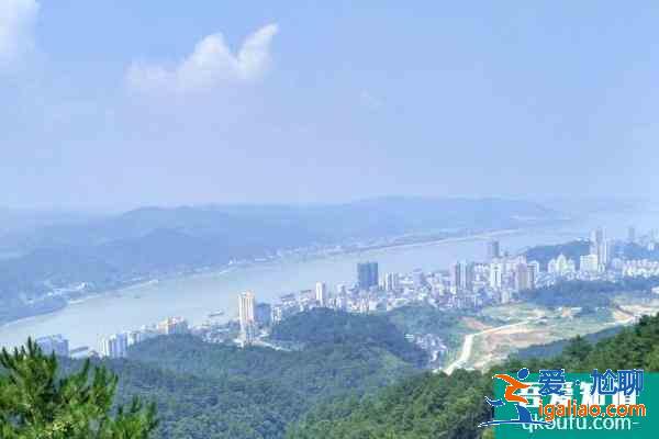 2021廣州白云山元旦鳳仙花主題花展時間？