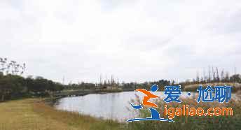 紅米k30s拍出照片太白是怎么回事？