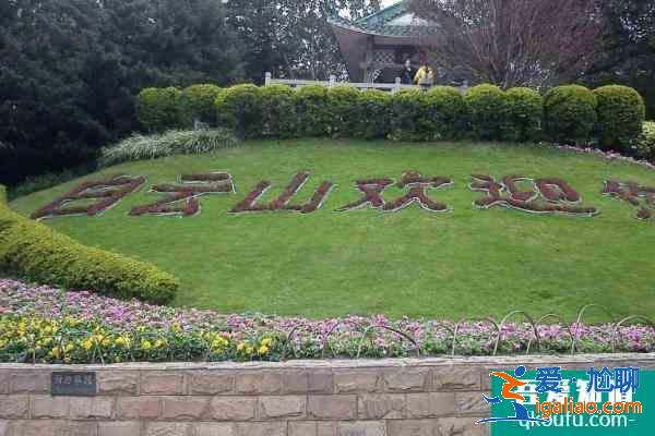 2021廣州白云山元旦鳳仙花主題花展時間？