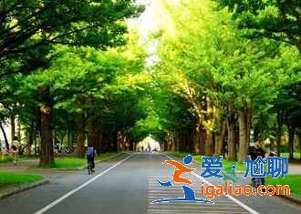 北海道5月旅游風景好嗎,5月去北海道路線? 北海道5月旅游風景好嗎,5月去北海道路線?