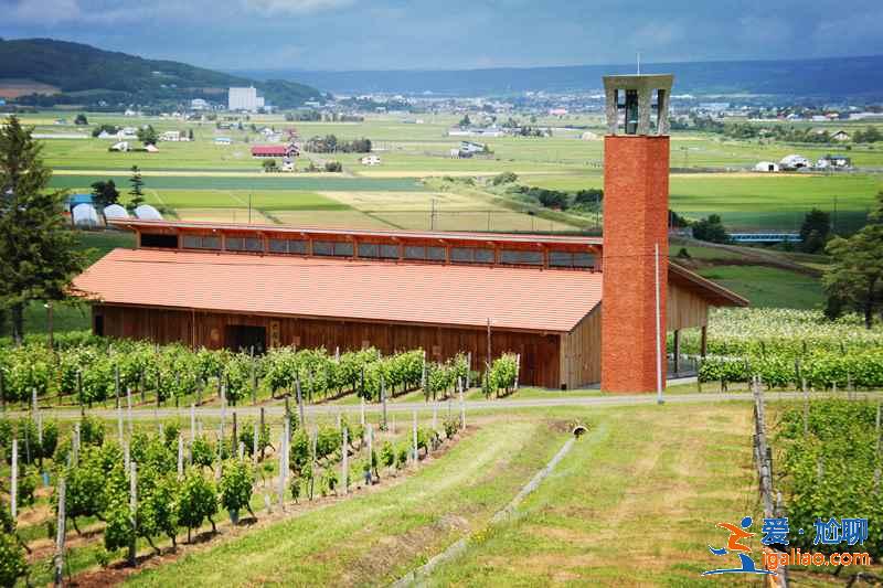 北海道旅行：葡萄酒愛好者天堂—北海道葡萄酒廠？