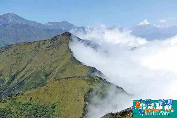 2022年元旦泰山景區(qū)門票預(yù)約最新消息？