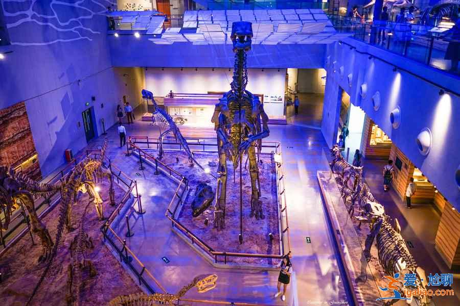 廣州哪里適合帶孩子玩,廣州親子游寓教于樂景點(diǎn)推薦,廣州除了長隆還能帶孩子玩什么? 廣州哪里適合帶孩子玩,廣州親子游寓教于樂景點(diǎn)推薦,廣州除了長隆還能帶孩子玩什么?