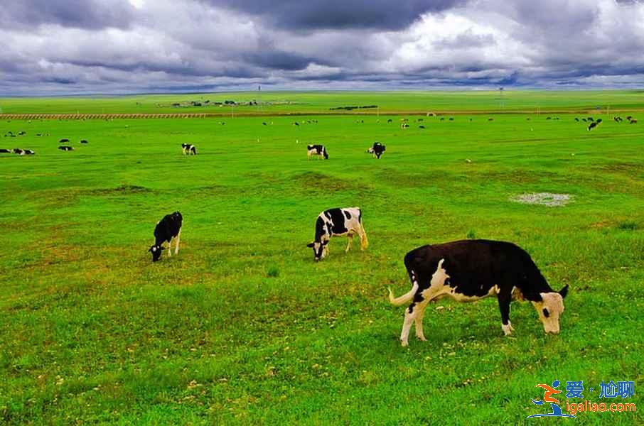 呼倫貝爾草原5日游多少錢,呼倫貝爾草原5日游路線? 呼倫貝爾草原5日游多少錢,呼倫貝爾草原5日游路線?