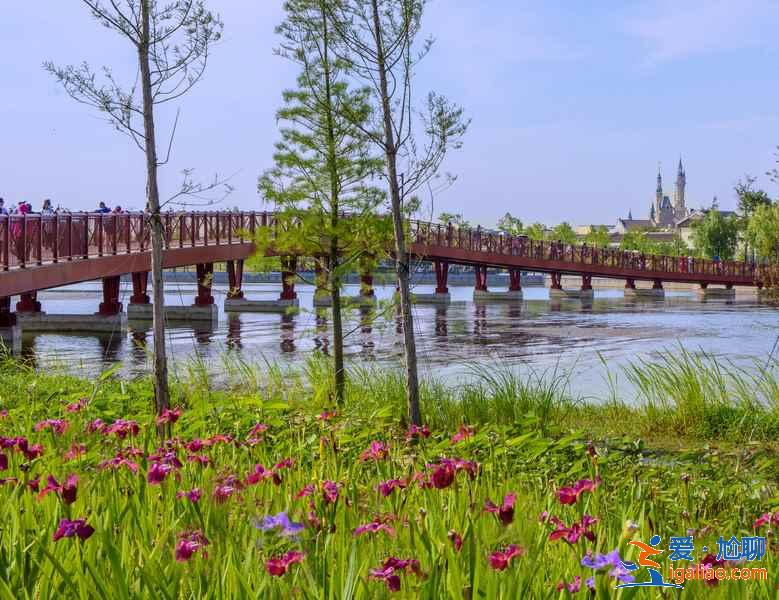 上海迪士尼周邊有什么好玩的，上海迪士尼周邊景點推薦？