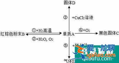 初中化學中如何記憶并熟練寫出各種物質的化學式？