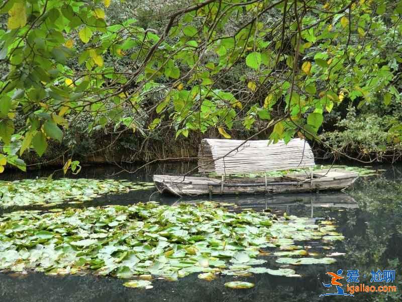 端午節(jié)南京周邊好去處，2019端午節(jié)南京周邊有什么好去處？