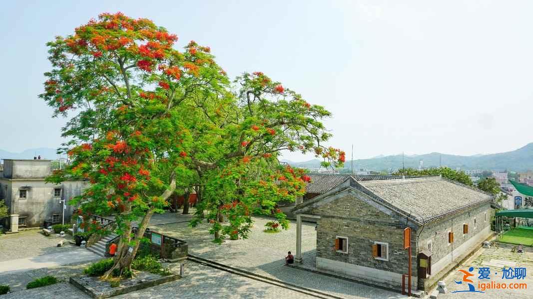 廣州周邊游有什么推薦，廣州周邊游攻略，廣州周邊有什么好玩的？