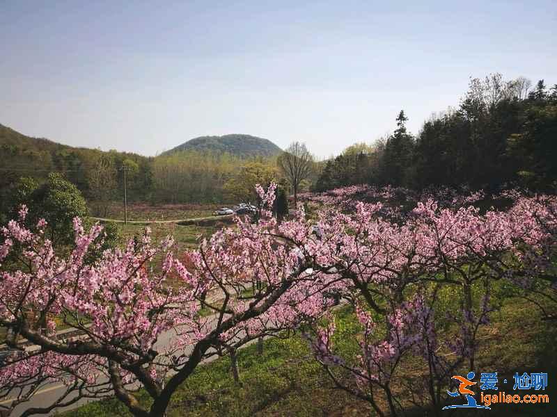 端午節(jié)南京周邊好去處，2019端午節(jié)南京周邊有什么好去處？