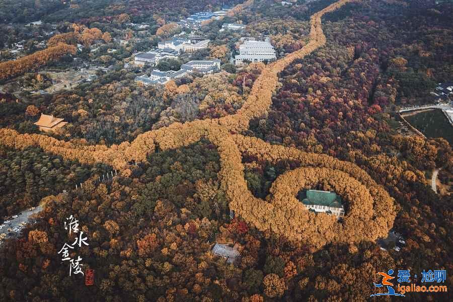 南京一日游打卡景點有哪些,南京一日游哪里好玩,南京一日游攻略? 南京一日游打卡景點有哪些,南京一日游哪里好玩,南京一日游攻略?