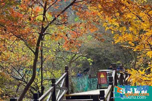 2022年1月鄭州免費開放景區和半價景區? 2022年1月鄭州免費開放景區和半價景區?