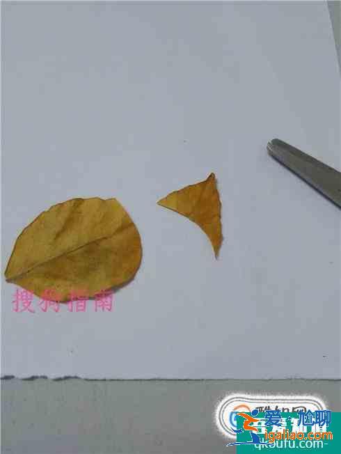 樹葉小兔子怎么做？