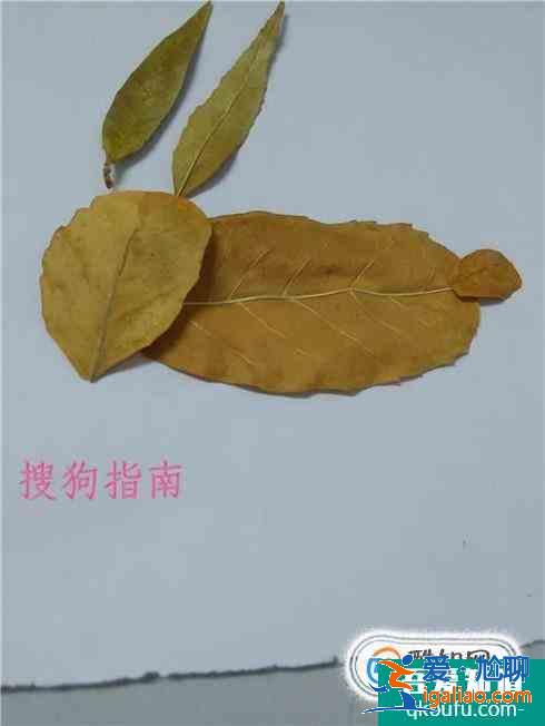 樹葉小兔子怎么做？