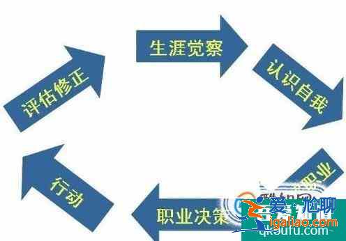 關于大學生職業生涯規劃如何寫？？
