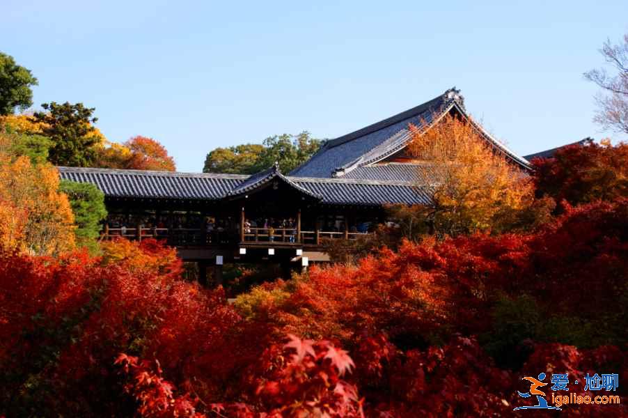 京都一日游怎么玩？京都一日游怎么安排？京都一日游推薦？