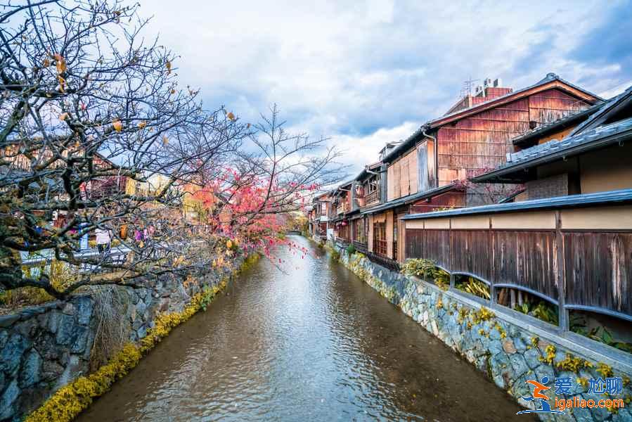 京都一日游怎么玩？京都一日游怎么安排？京都一日游推薦？