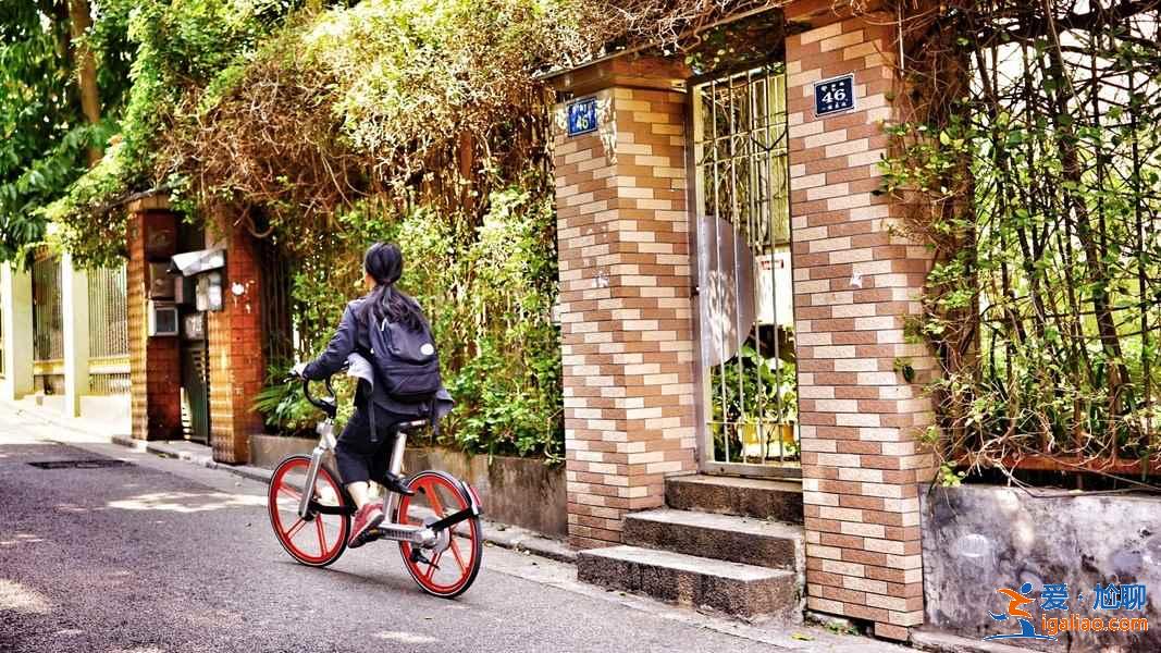 游廈門，最經典的3條路線推薦？