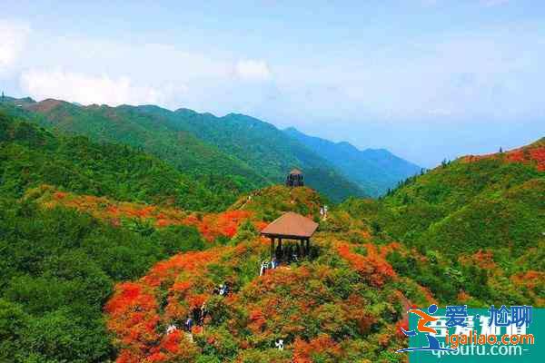 大圍山國家森林公園將于2021年12月31日恢復(fù)開放？