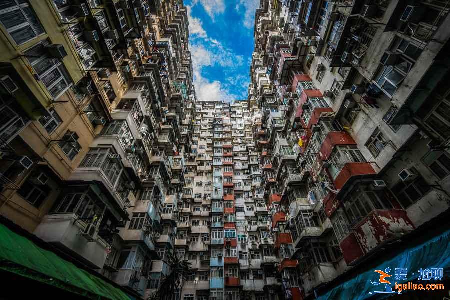 【香港過境免簽政策】香港過境免簽時間、所需資料、流程？