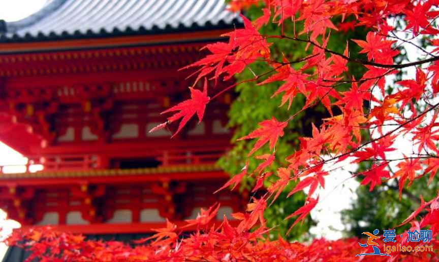 日本什么季節去最好，不同時間不同美麗的日本？