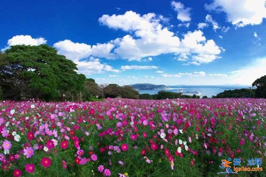 日本最全旅游時間表!日本最佳旅游時間? 日本最全旅游時間表!日本最佳旅游時間?